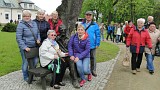 Zdjęcie nr 4 - kliknij aby powiększyć