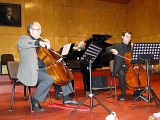 Zdjęcie nr 21 - kliknij aby powiększyć