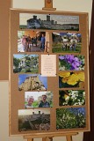 Zdjęcie nr 11 - kliknij aby powiększyć