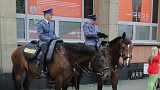Zdjęcie nr 5 - kliknij aby powiększyć