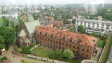 Zdjęcie nr 9 - kliknij aby powiększyć