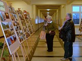 Zdjęcie nr 16 - kliknij aby powiększyć