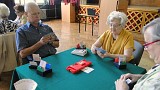 Zdjęcie nr 19 - kliknij aby powiększyć