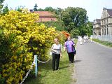 Zdjęcie nr 26 - kliknij aby powiększyć