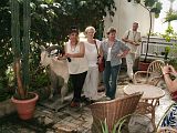 Zdjęcie nr 35 - kliknij aby powiększyć