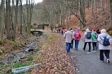 Zdjęcie nr 3 - kliknij aby powiększyć