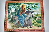 Zdjęcie nr 11 - kliknij aby powiększyć